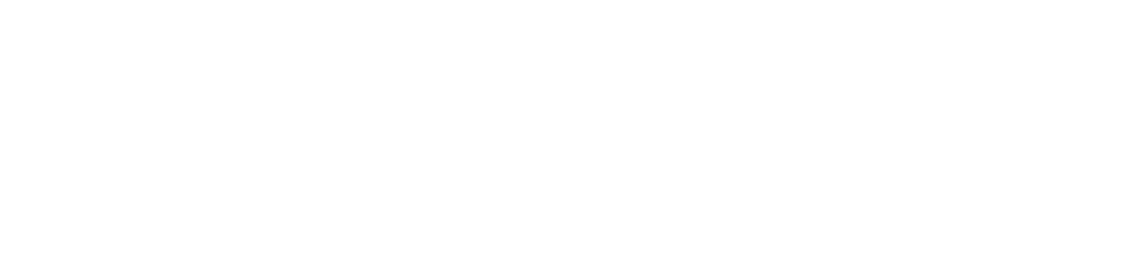 Provincie Flevoland logo wit